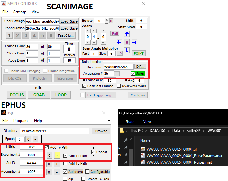 Ephus + ScanImage File Naming